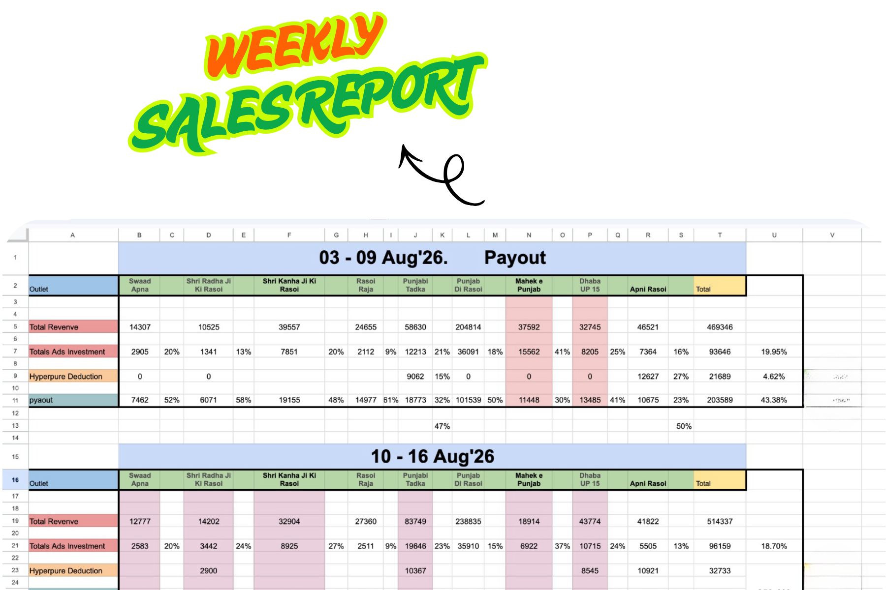 Weekly Consultation & Reports
